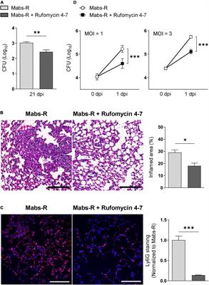 Rufomycin Exhibits Dual Effects Against Mycobacterium abscessus Infection by Inducing Host Defense and Antimicrobial Activities